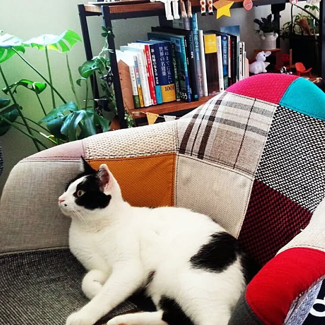 実例写真