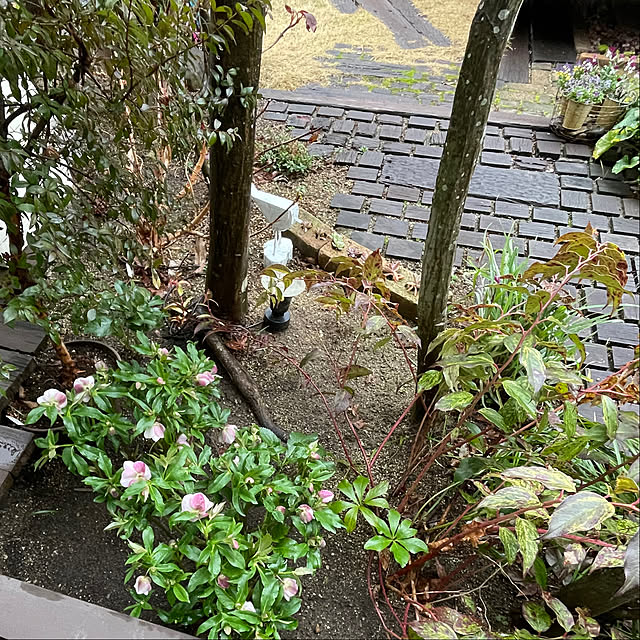 nobikoさんの実例写真