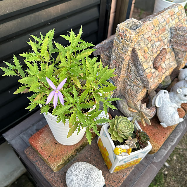 ritsukoさんの部屋