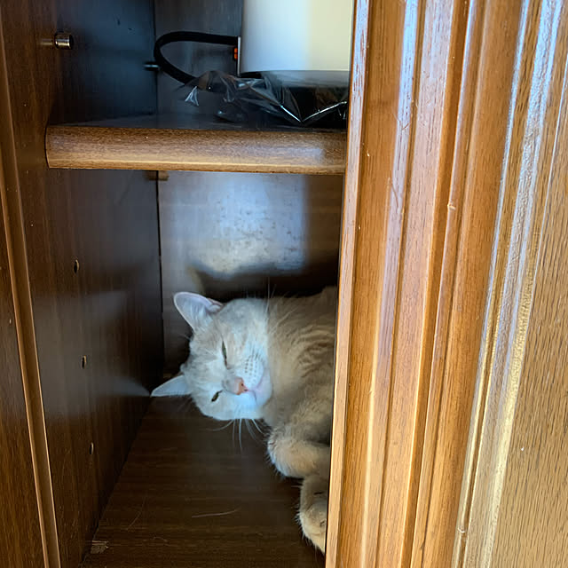 la_franceloveさんの実例写真