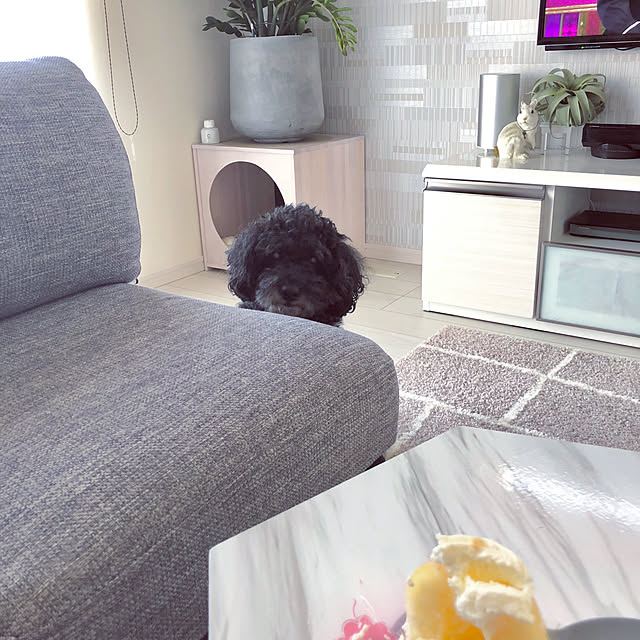Mamiyさんの実例写真