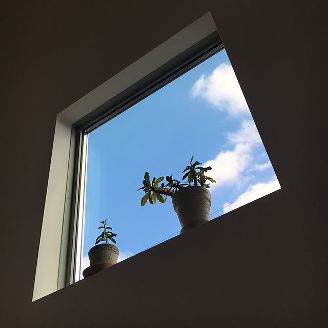 Y1178さんの実例写真
