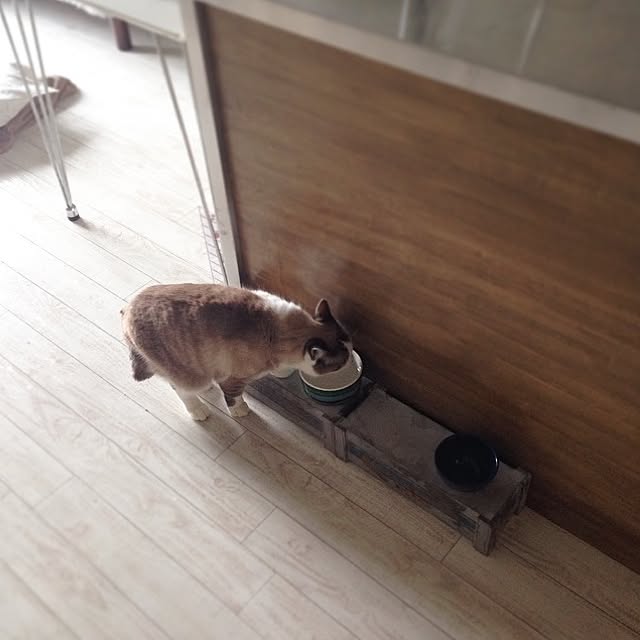 NEiGEDROiTさんの実例写真