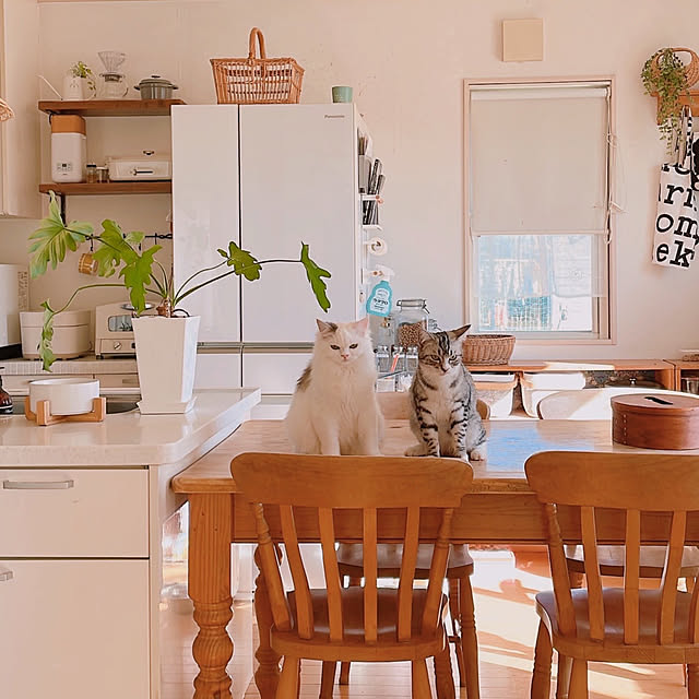 milkcocoaさんの実例写真