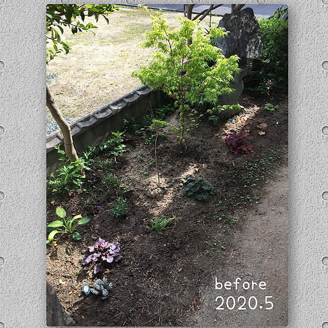 buchiさんの部屋