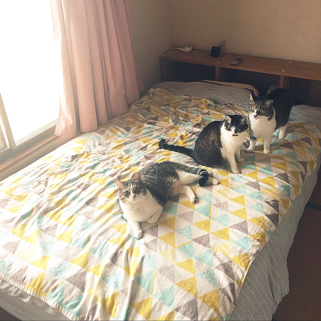 mill_0303さんの実例写真