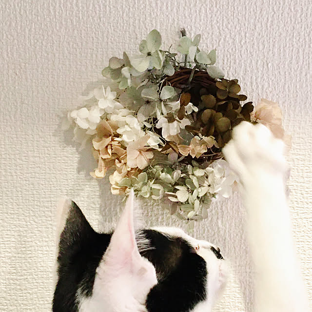 nobikoさんの実例写真