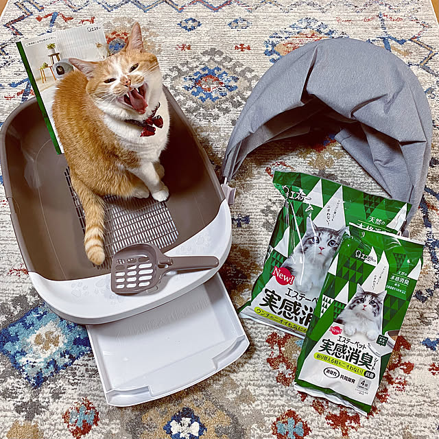 cocomaroさんの実例写真
