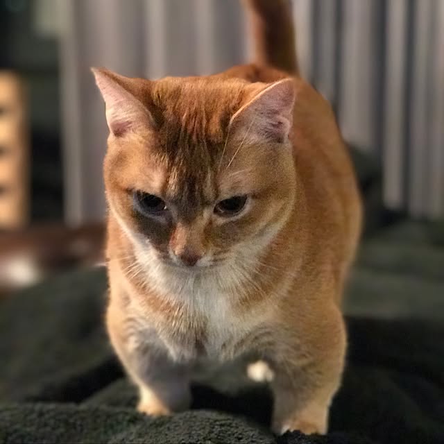 amo69xxさんの実例写真
