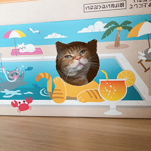 rarakoさんの実例写真