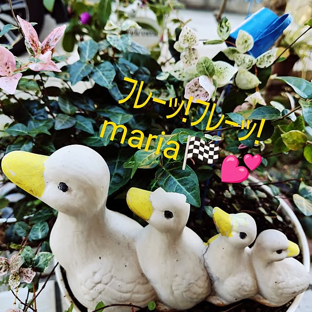 katさんの部屋