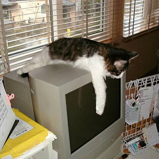 机のインテリア実例 - 2016-10-06 13:26:52
