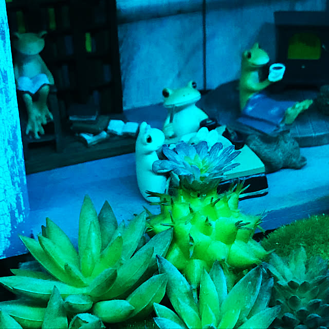imaさんの実例写真