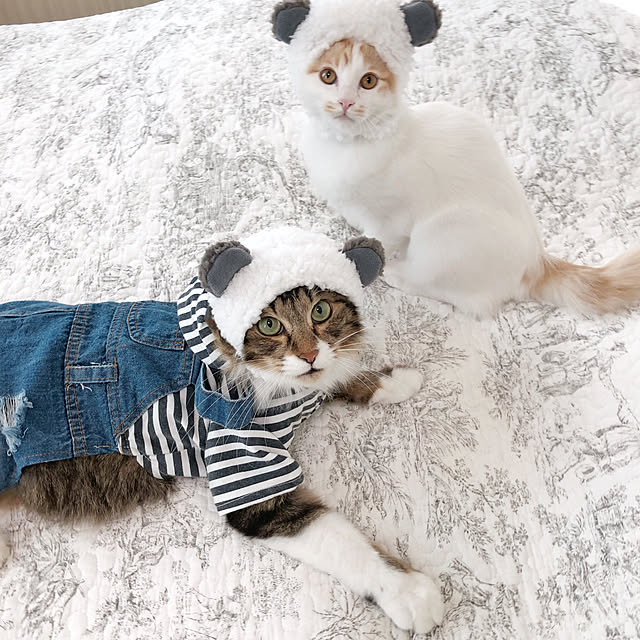 yuchiさんの実例写真