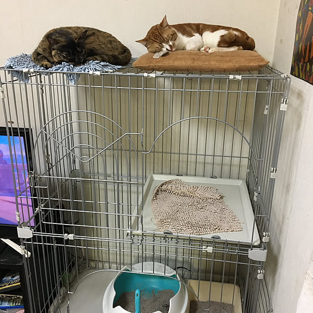 hiromin20さんの部屋