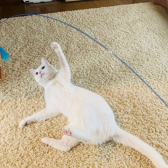 keiさんの実例写真