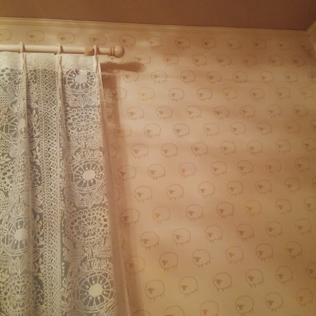 misora_caさんの実例写真