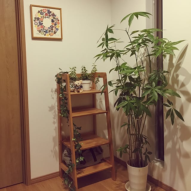 Yukoさんの実例写真