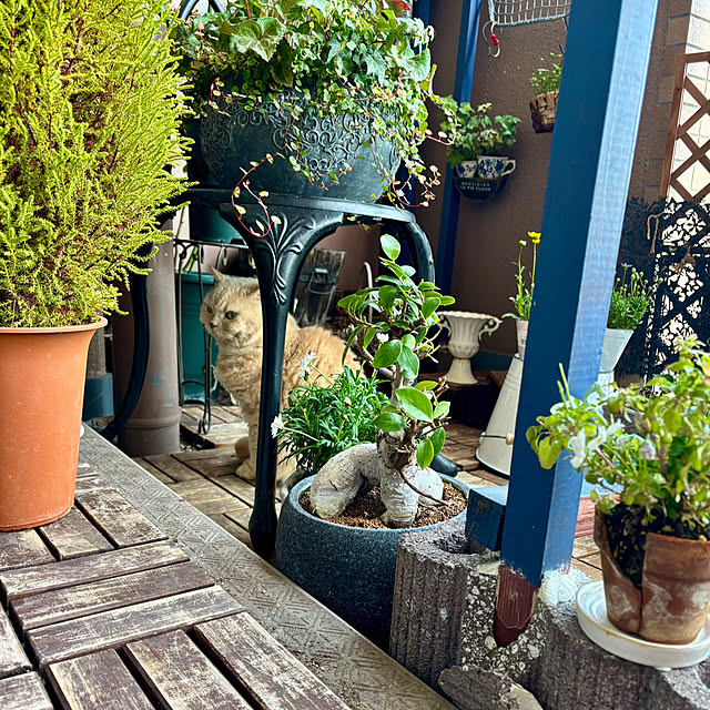 naokoさんの部屋