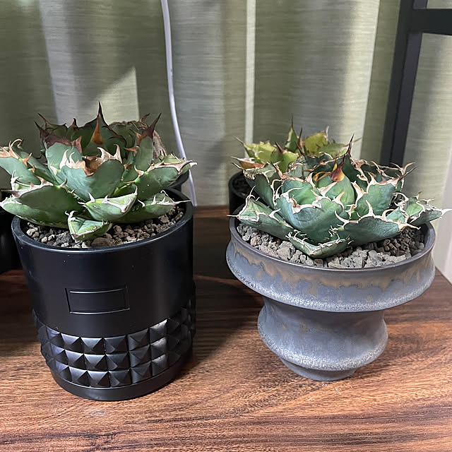 c.kさんの部屋