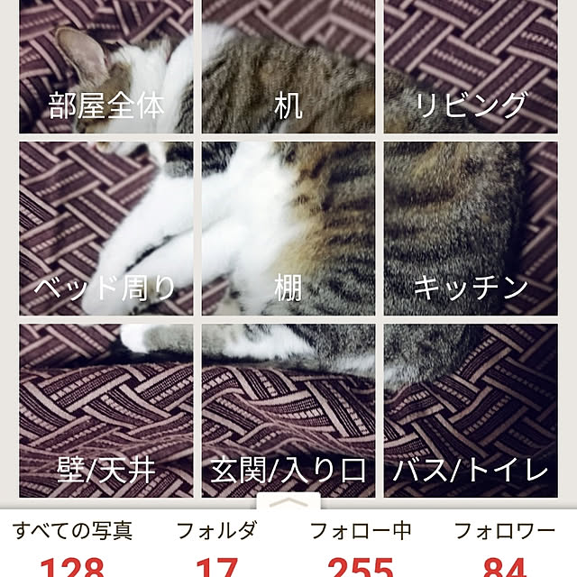 SYOUGUNさんの実例写真