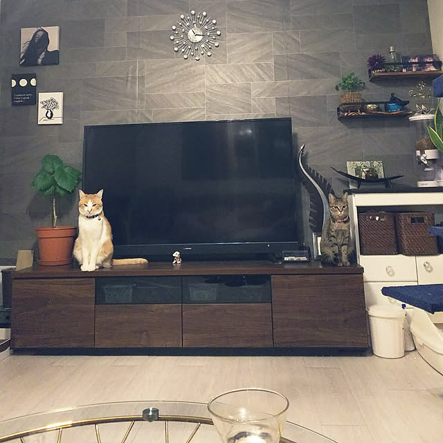 uutann320mozukuさんの実例写真