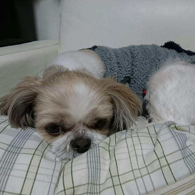 ronさんの実例写真