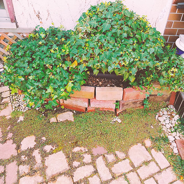 ai-nyanko.さんの実例写真