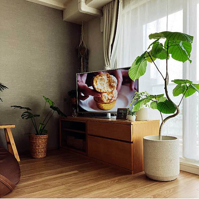 Anthuriumさんの部屋