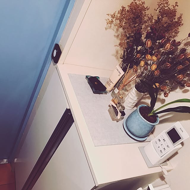 pppyさんの実例写真