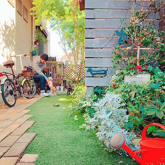 部屋全体/犬との暮らし/グリーンのある暮らし/植物のある暮らし/Ig→risa6100...などのインテリア実例 - 2019-01-20 20:37:07