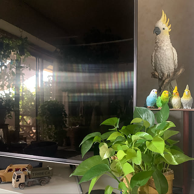 Aqettyさんの実例写真