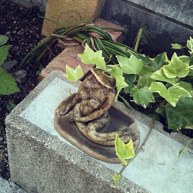 kassyyomeさんの実例写真