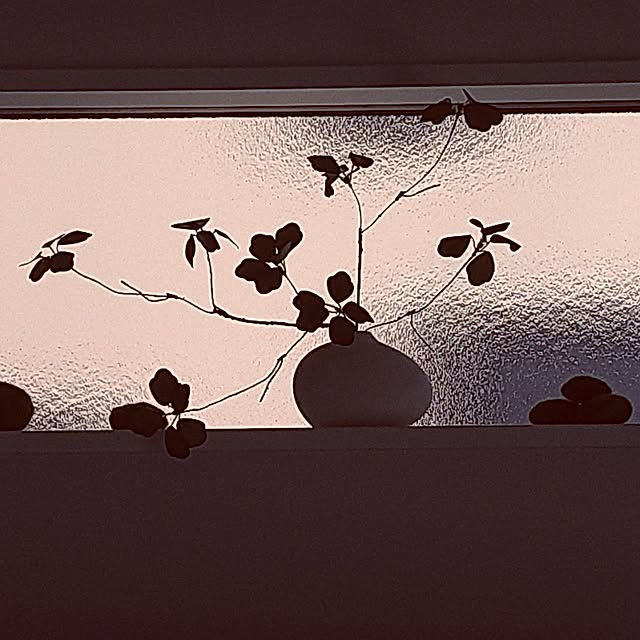 yanyon0194さんの実例写真