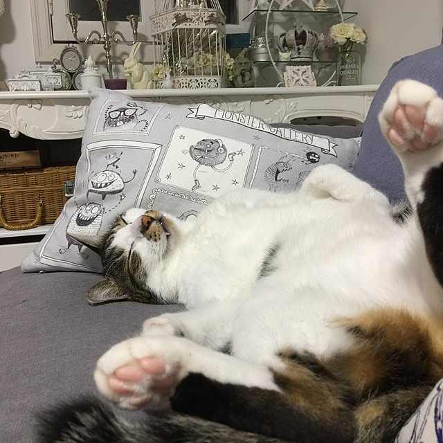 yuchiさんの実例写真
