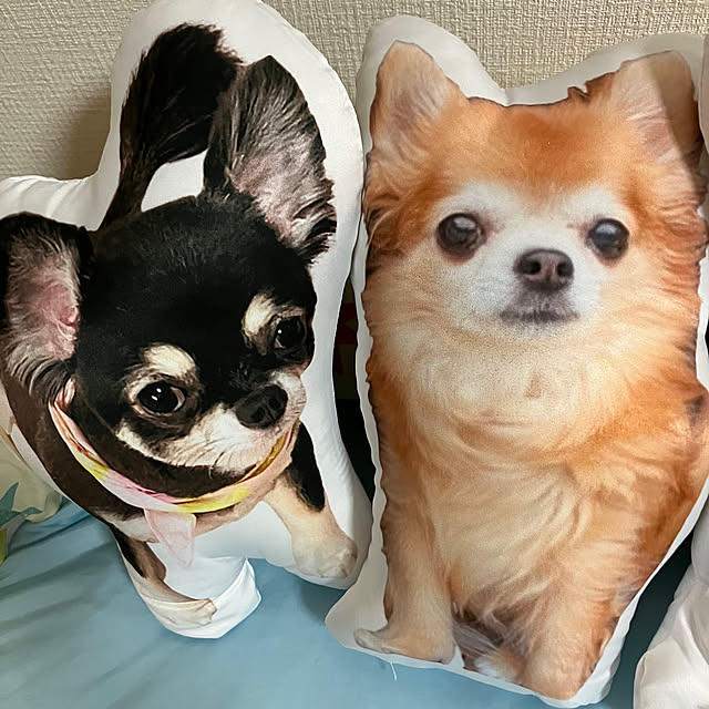 koroさんの部屋