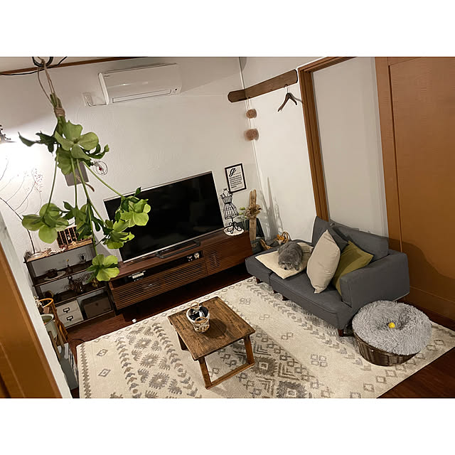 meguko.ryanさんの実例写真