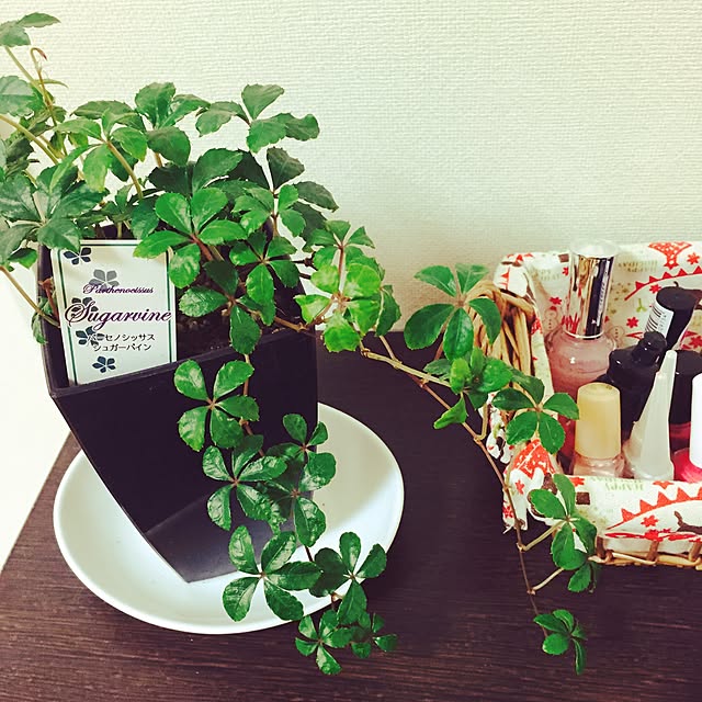 rihoichigoさんの実例写真