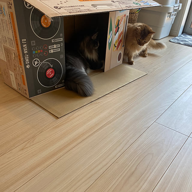 momongaさんの部屋
