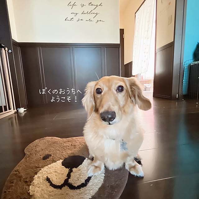 -Riley-mama.-さんの部屋