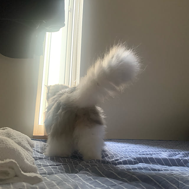 masakoさんの実例写真