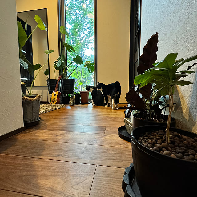 porinさんの部屋