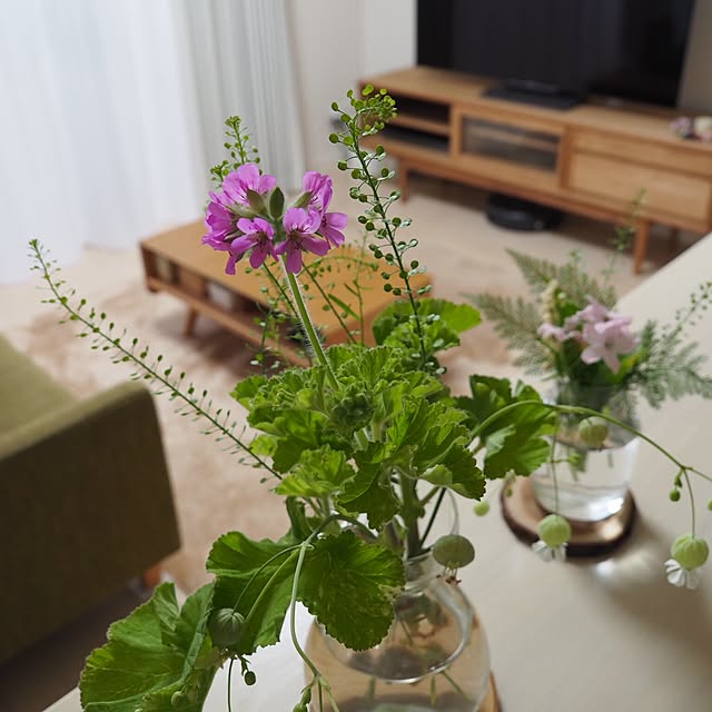 natsu._.logさんの実例写真