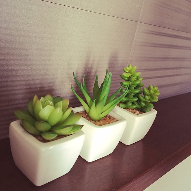 玄関/入り口/植物のインテリア実例 - 2014-11-19 00:05:54