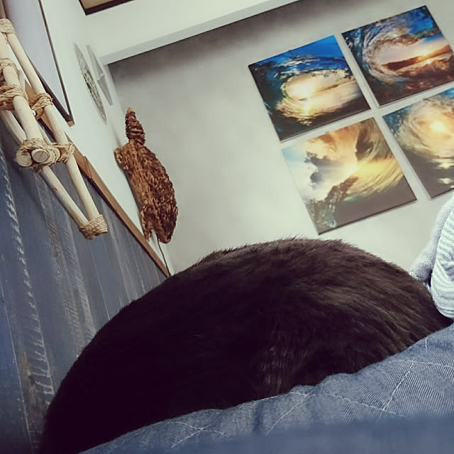 cocosorasakuさんの実例写真