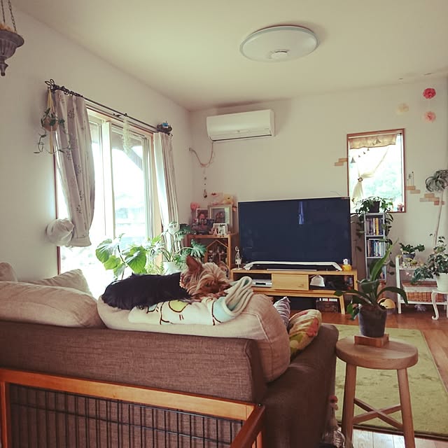 akiさんの実例写真