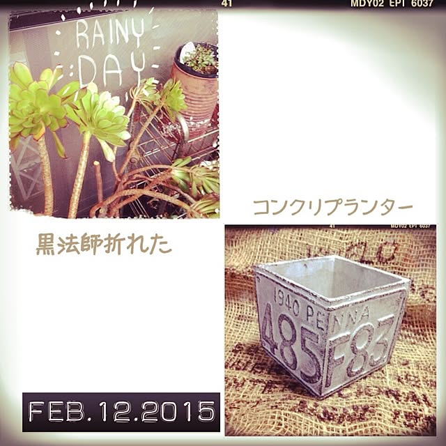 cocoaさんの実例写真