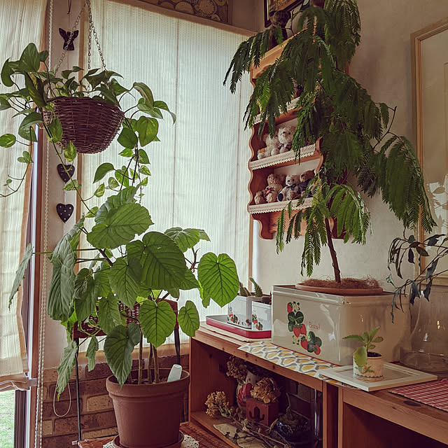 kouheiyuto24623takaさんの実例写真