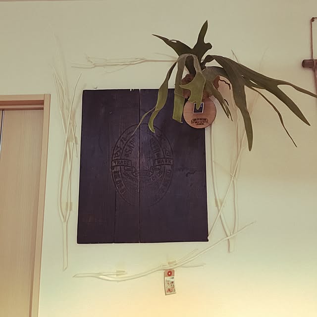tetra163さんの実例写真