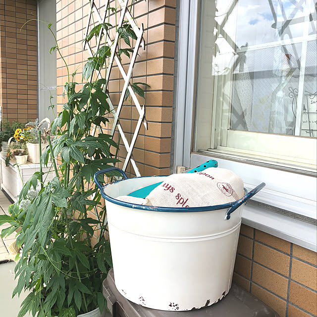 reeさんの実例写真